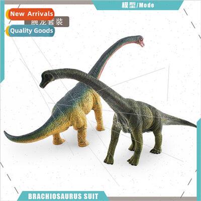 Jurassic herbivorous dinosaur Brachiosaurus stable static de