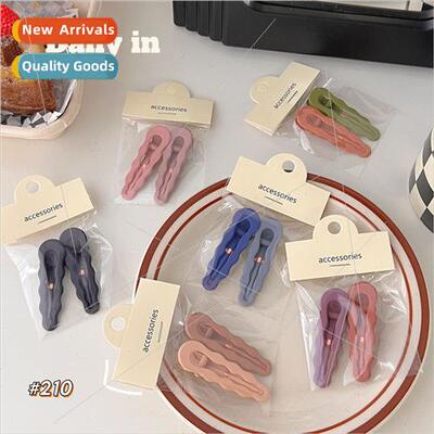 Frosted texture duckbill clip simple wind large hairpin long