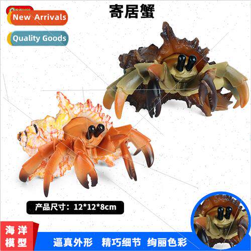 plastic solid undersea animals herm crab ocean crab children
