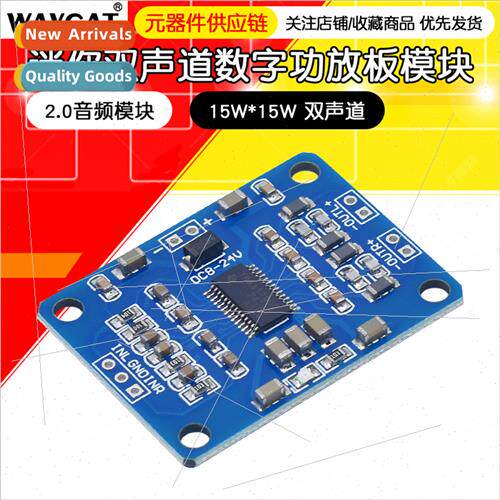 TPA3110 Digal Amplifier Board Slim 2.0 Dual Channel 2*15W Au