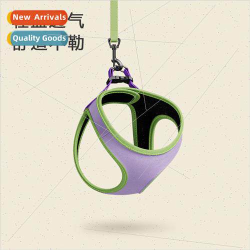 Dog Leash Small Dog Chest Carrier Dog Walking Leash Vest Ted