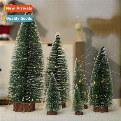 Mini Christmas Tree Cedar Desktop Small Christmas Tree Creat