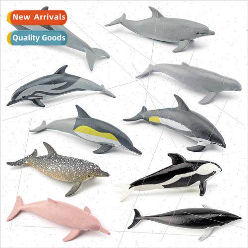 Whe-kissed spotted dolphinLong-snouted dolphinHourglass dolp