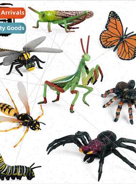 toys rainest poisonous spider mantis bumblebee grasshopper s