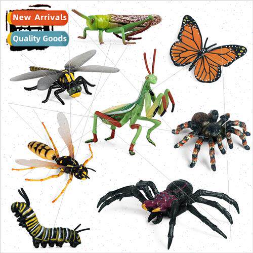toys rainest poisonous spider mantis bumblebee grasshopper s