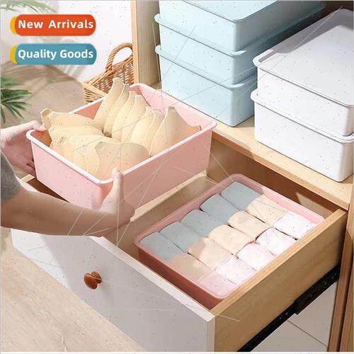 Underwear Storage Box Socks Panty Divine Closet Underwear Or