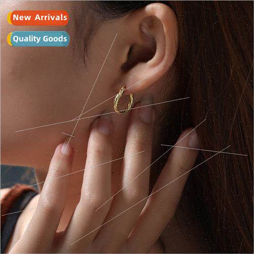 s925 silver earrings Europe popular accessories round twist