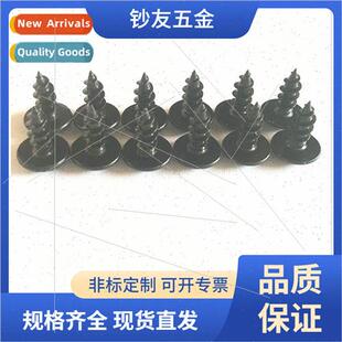 Large flat head Phillips self-tapping screws fastening hardw