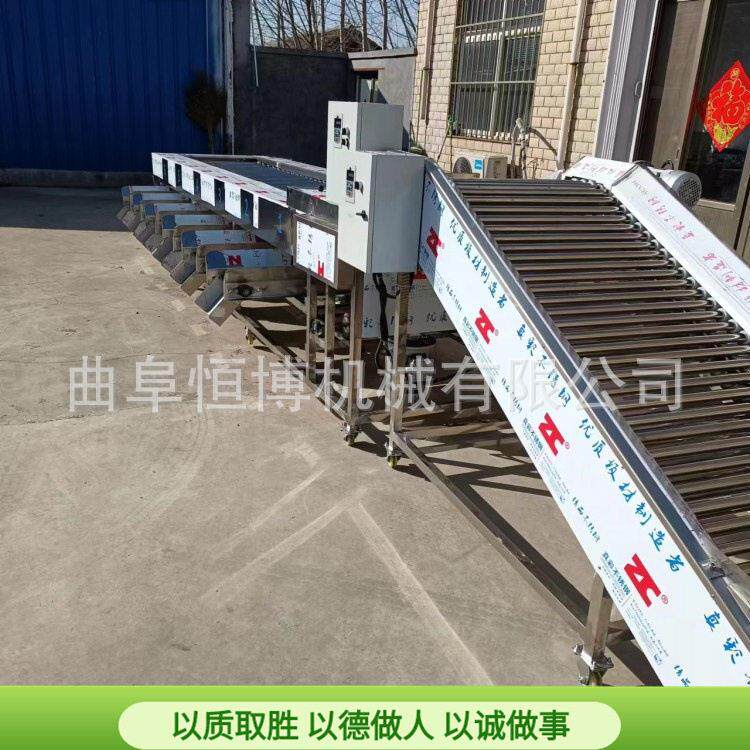 厂家多功 能砂糖橘筛选机选商用苹果梨分拣机 工业金桔李子子果机