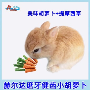 赫尔达小胡萝卜兔子磨牙零食磨牙玩具仓鼠造景兔子龙猫豚鼠磨牙棒