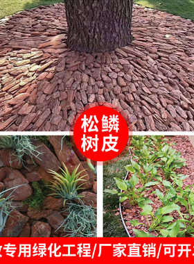 打磨松树皮松麟树皮有机覆盖物发酵腐熟树皮基质铺面树穴覆盖杂草