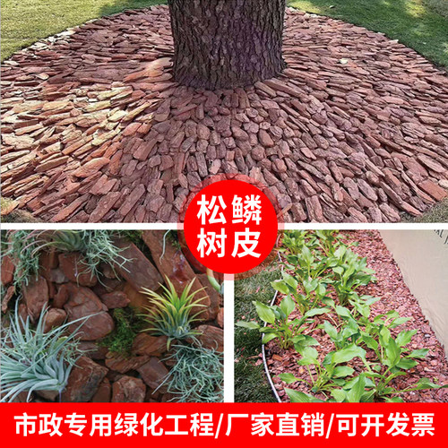 打磨松树皮松麟树皮树坑覆盖物
