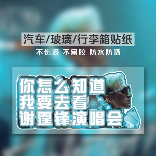 谢霆锋演唱会车贴个性贴画