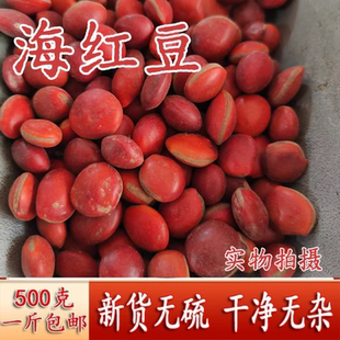 中药材天然相思豆红豆菩提子海红豆250克包邮
