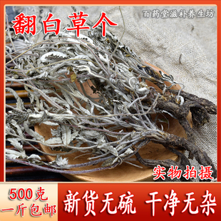 新货翻白草中药材500g整颗带根全株全草番白草鸡腿根干货