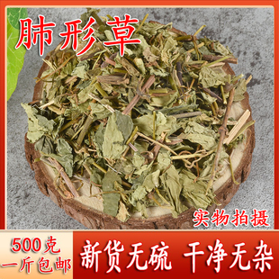 肺形草中药材新货 别名：穿藤金兰花 铁交 蝴蝶草中药材肺形草