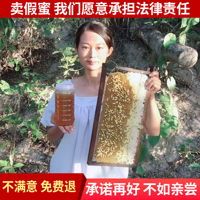蜂蜜纯正天然结晶蜂巢蜜广东野生土蜂蜜农家自产正宗百花蜜无添加