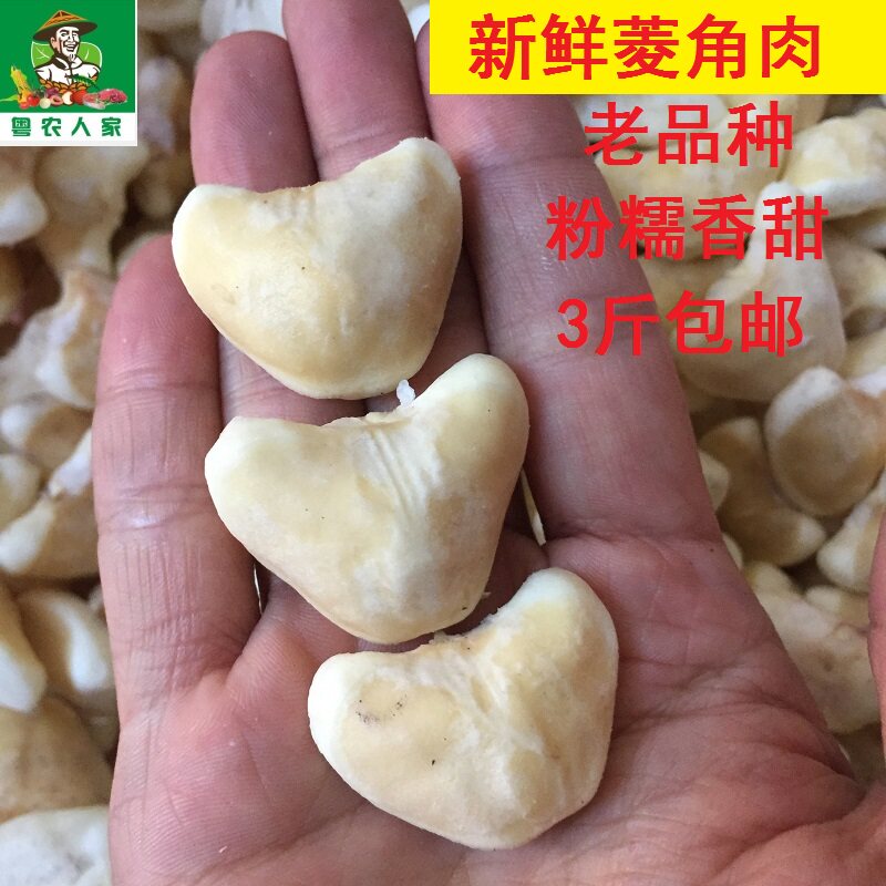 广东潮汕莲角新鲜菱角肉野生菱角去壳老菱角莲角米现摘500克包邮