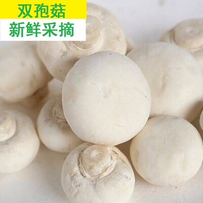 新鲜白蘑菇双孢菇口蘑口菇蔬菜