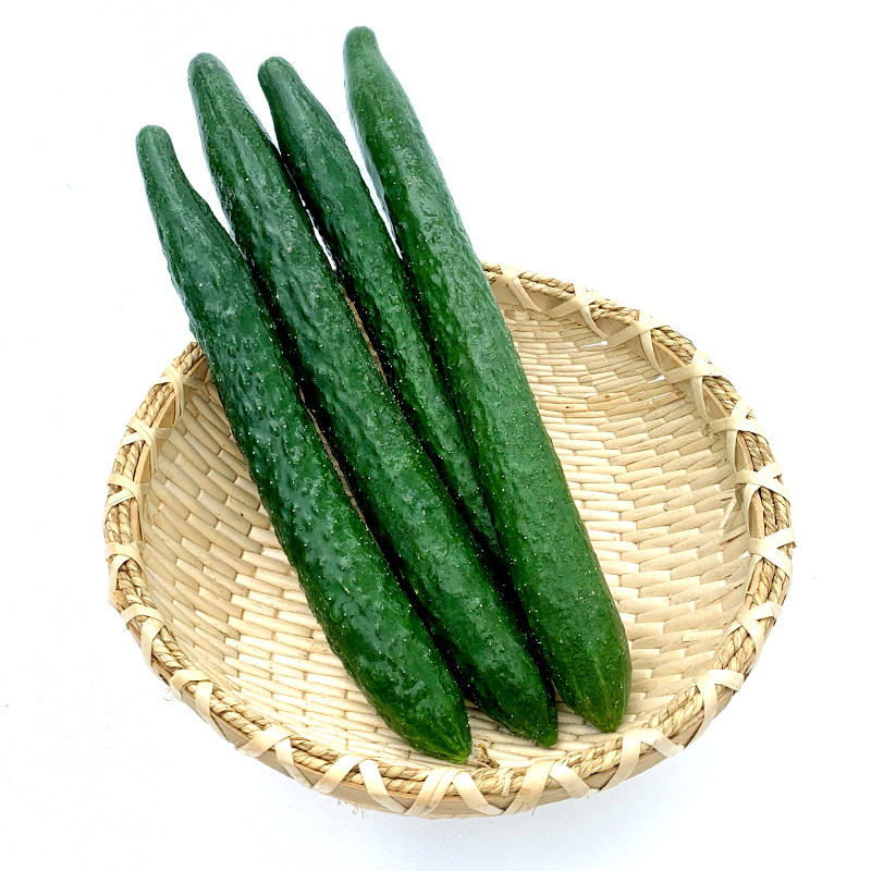 潮汕黄瓜新鲜绿黄瓜熊蜂授粉500g老三农家蔬菜田地种植产地直销