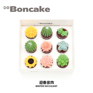 BONCAKE 乳酪裱花学生党乐趣下午茶券北京上海同城MS 迎春多肉