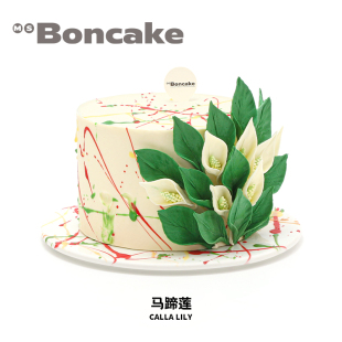 BONCAKE 彩虹裱花生日蛋糕券北京上海同城送MS 茉莉花茶 马蹄莲