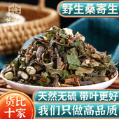 野生桑寄生中药材500g250g100克新货桑寄生茶正品 另售独活槲寄生