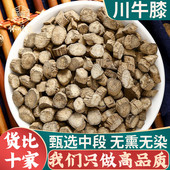 川牛夕 牛漆川牛漆正品 新货牛膝中药材野生川牛膝500g克四川 包邮