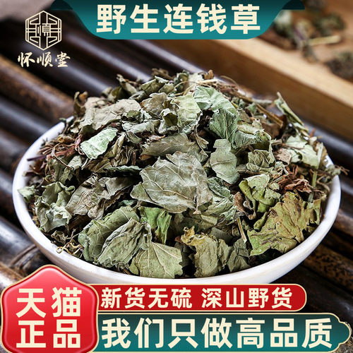 野生连钱草中药材活血丹中草药