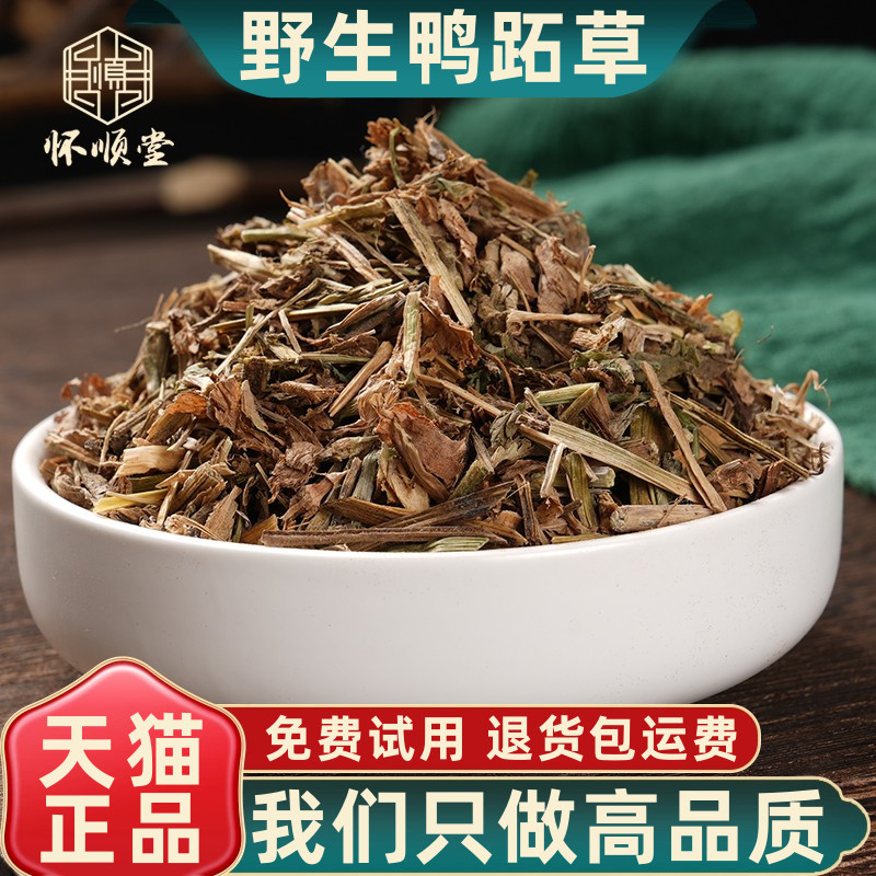 正宗野生鸭拓草中药材优选新货