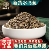水飞蓟中药材正品 水飞蓟果水飞雉奶蓟草籽500克 水飞蓟籽水飞蓟子