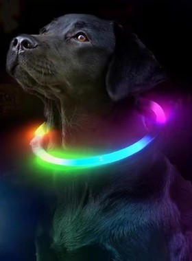 狗狗发光项圈宠物七彩夜光遛狗灯发亮闪光灯夜间防走丢颈圈狗项圈