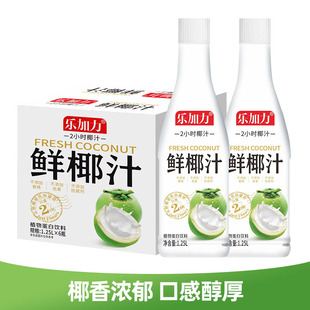 1.25L年货聚会大瓶装 植物蛋白饮料 风味饮品 鲜椰汁椰子汁 乐加力