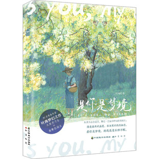 社 青春小说 中国致公出版 文学 是你是梦境 叶离