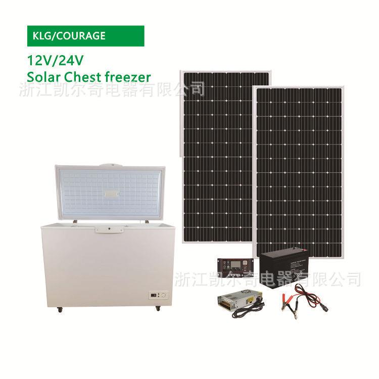 冷柜ChestFreezerBD-308DC12V直流冷柜家用卧式柜