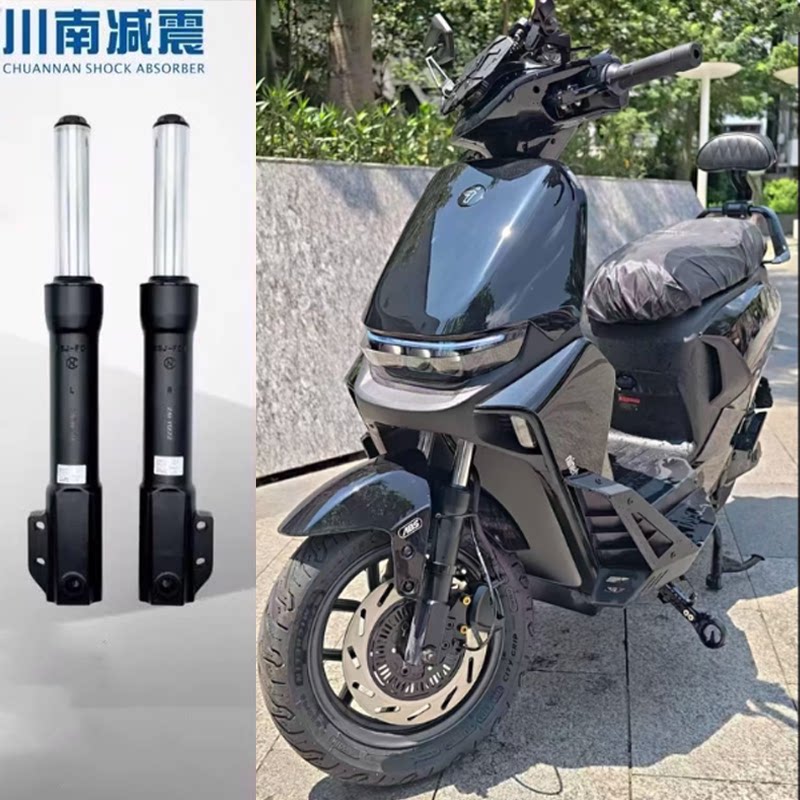 电动车川南F01前减震中孔双碟图片