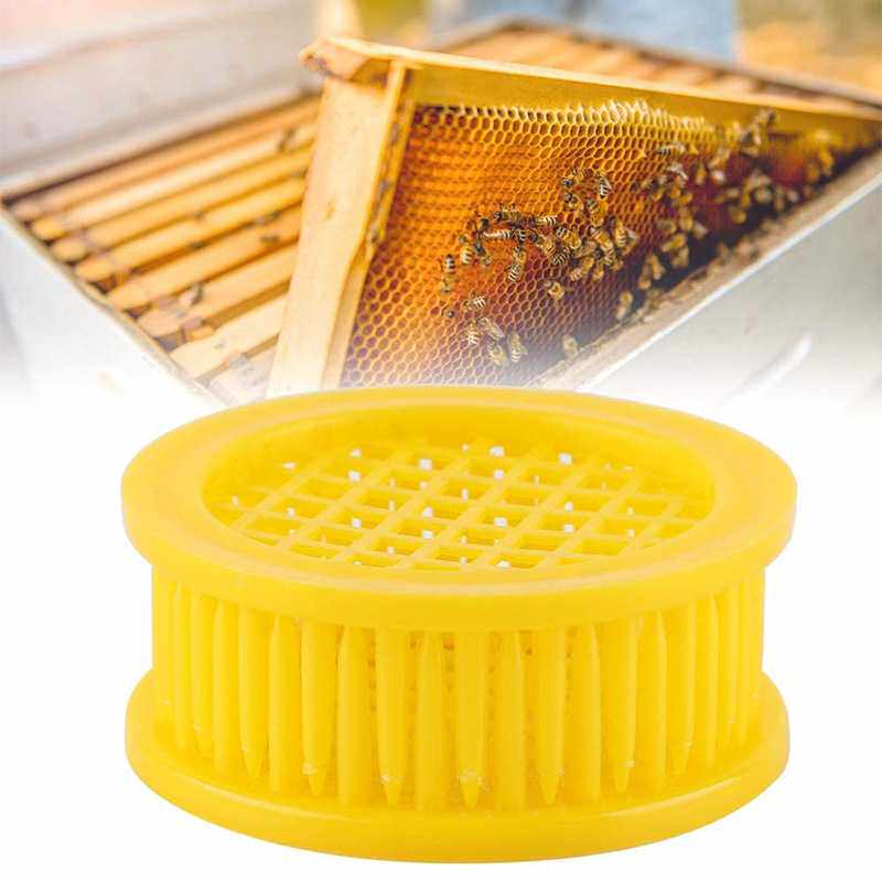 养蜂工具 蜂王笼 囚王笼 塑料王笼 黄色圆形王笼