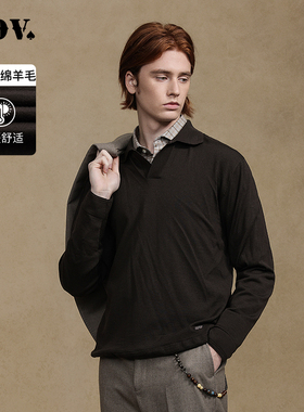 JDV2025春秋新款咖啡色polo领针织衫百搭男士绵羊毛衫WOT4213