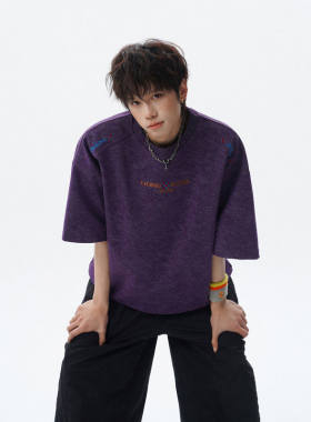〔PLUS NO LOGO〕pd大人404MOB吕小虎250克重磅刺绣天丝棉短袖T恤