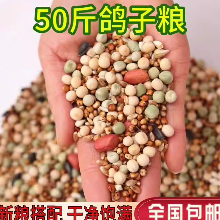 50斤鸽子粮喂鸽子粮食营养饲料鸟食幼鸽信鸽赛鸽肉鸽成鸽粮包邮