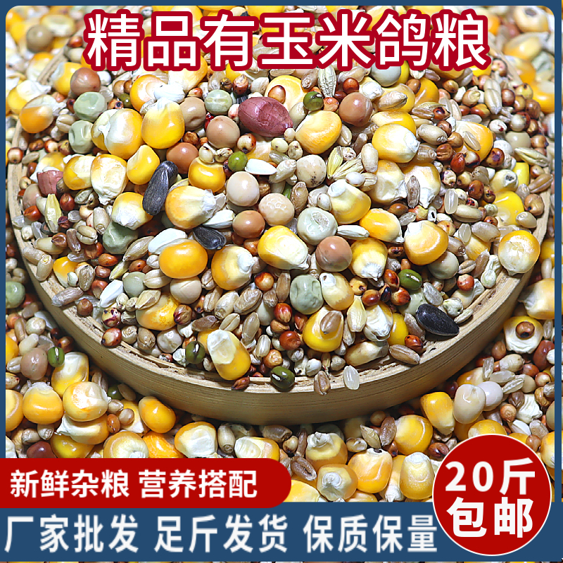 精品20斤装有玉米鸽粮肉鸽观赏鸽