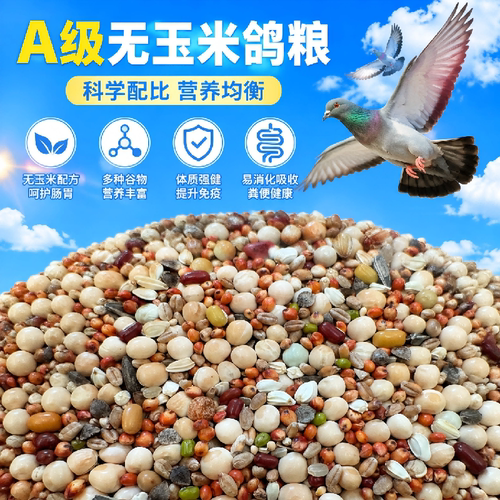无玉米鸽粮营养饲料鸟食信鸽元宝鸽观赏鸽肉鸽幼鸽成鸽日常混合粮