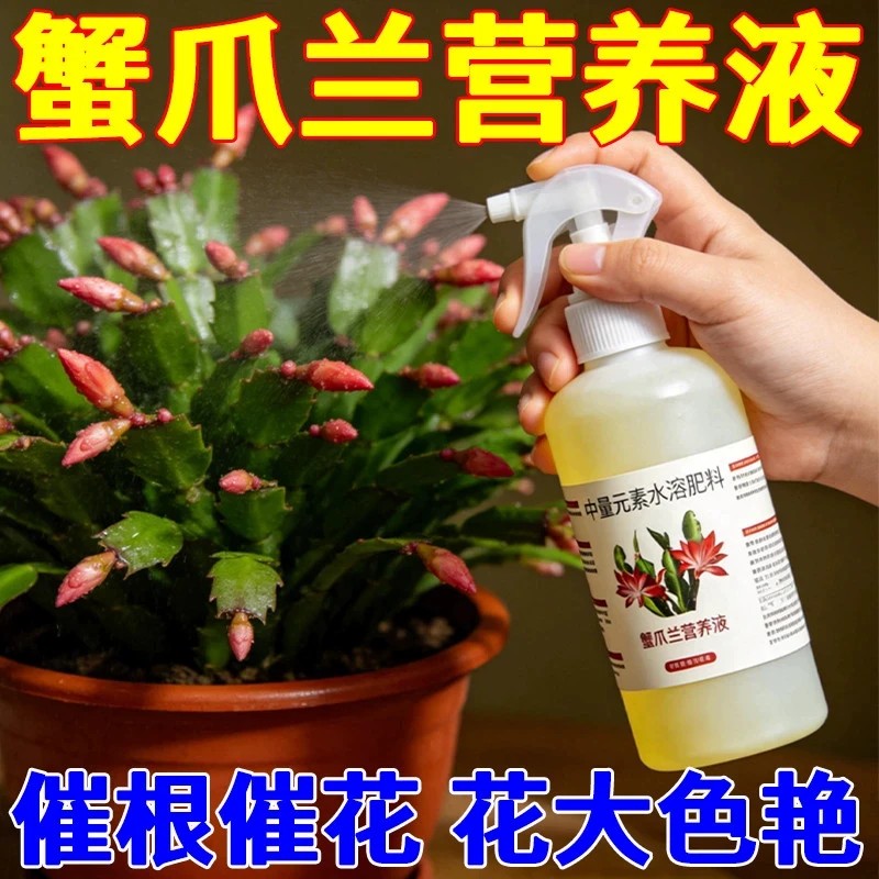 蟹爪兰专用营养液四季开花免稀释