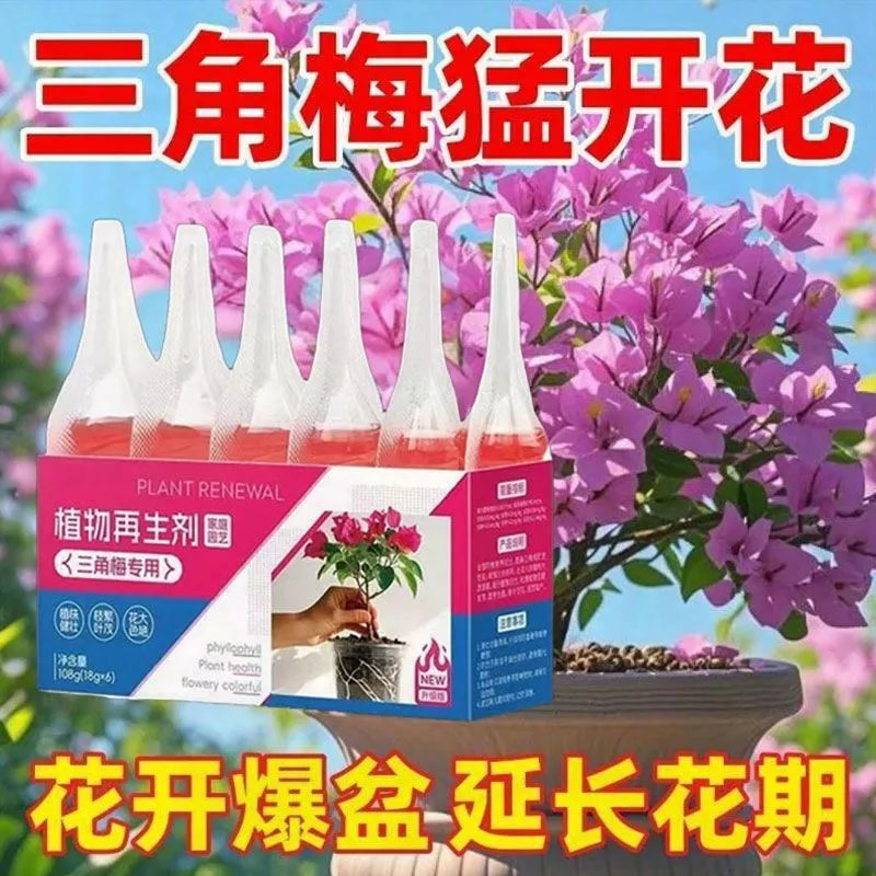 三角梅免稀释再生营养液图片