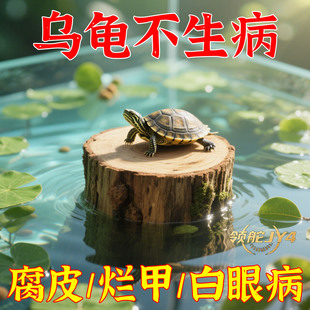 乌龟缸龙眼木乌龟晒台专用圆形圆形造景用品水质稳定剂悬浮全套食