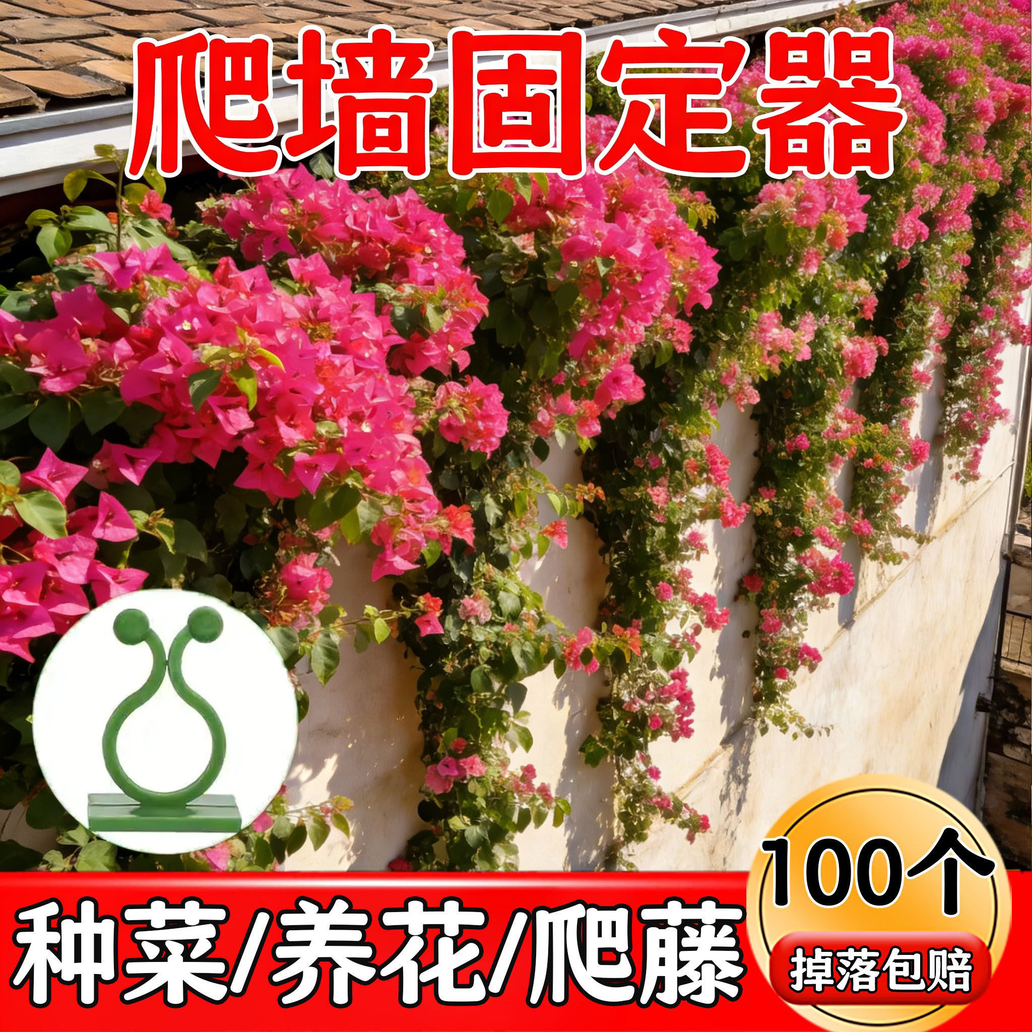 拍50送50阳台三角梅爬墙固定器