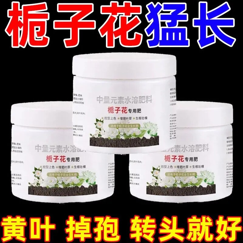 栀子花专用营养液防黄叶烂根