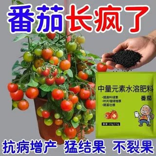 番茄专用生物菌肥颗粒有机