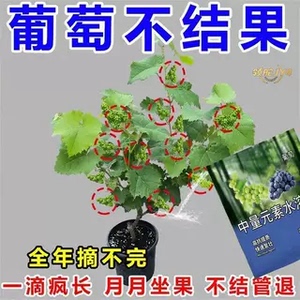 领沃葡萄授粉坐果防落增产剂
