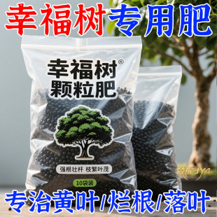 幸福树专用肥料颗粒缓释肥绿植养花盆栽植物通用全营养有机肥绿叶